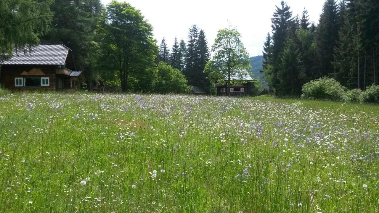 Ferienhaeuser Stohl Mariapfarr Esterno foto